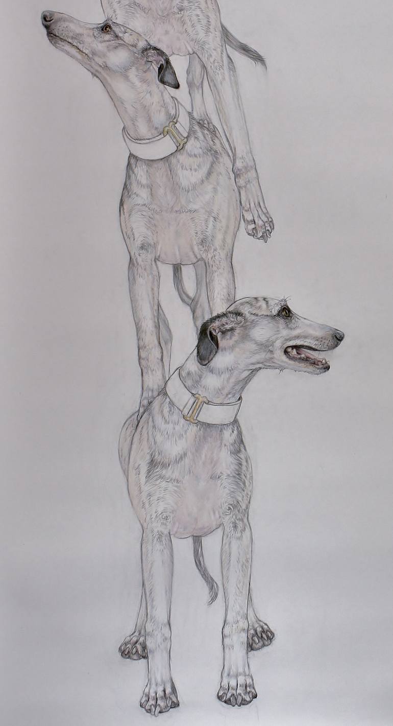 Original Figurative Dogs Drawing by Donalee Peden Wesley