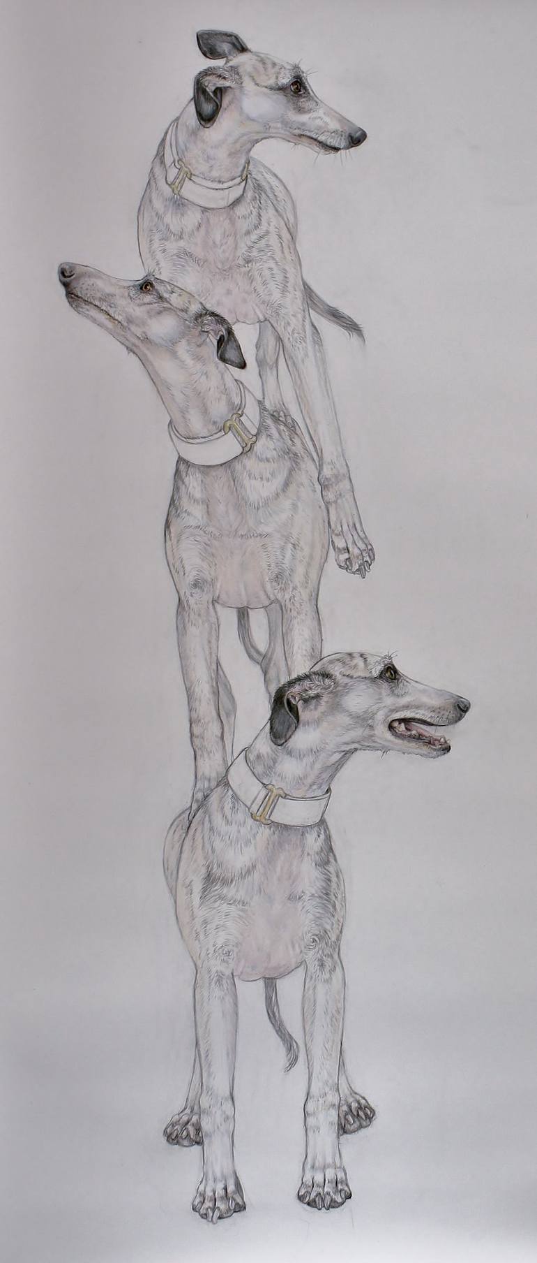 Original Figurative Dogs Drawing by Donalee Peden Wesley