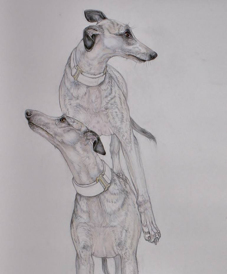 Original Dogs Drawing by Donalee Peden Wesley