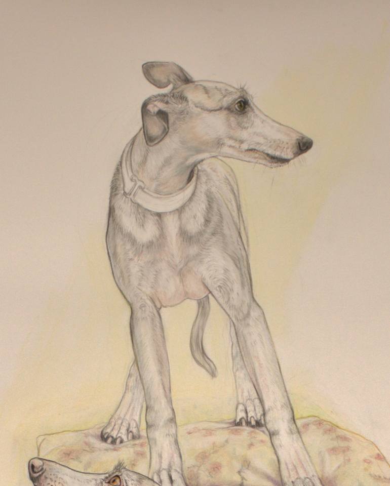 Original Contemporary Dogs Drawing by Donalee Peden Wesley
