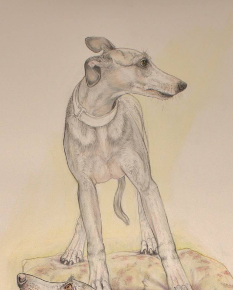 Original Dogs Drawing by Donalee Peden Wesley