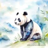 Collection Animals and nature