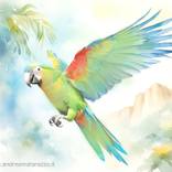 Collection Animals and nature