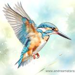 Collection Animals and nature