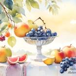 Collection Still Life