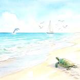 Collection Landscapes - Seascapes
