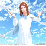 Collection Religion-Life of Jesus and Mary-Holy Rosary