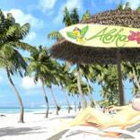 Collection Portraits