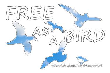 Free as a Bird thumb