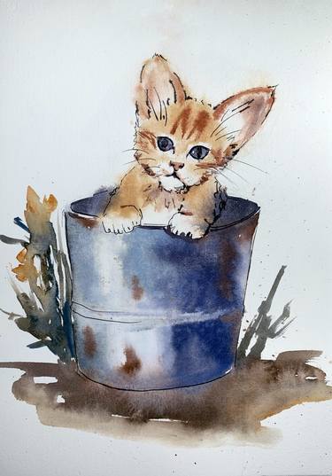 Kitten in a rusty bucket thumb