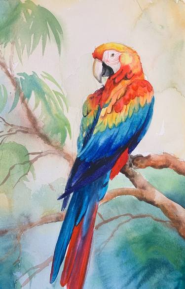 Rainbow parrot thumb