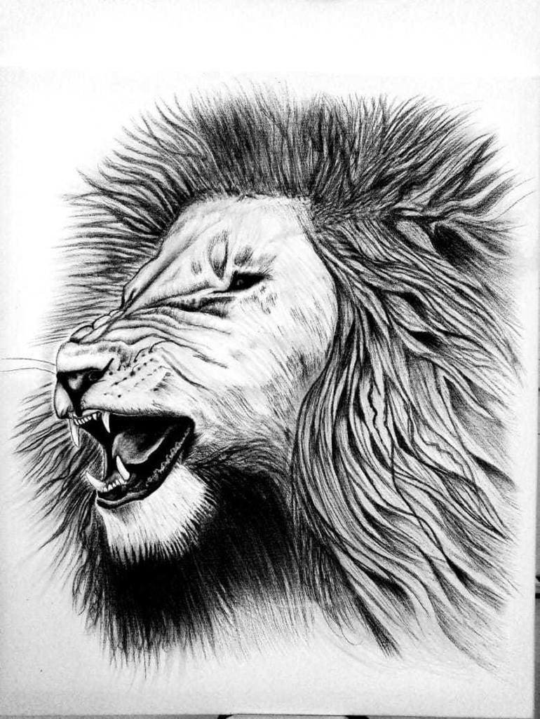 Lion Pencil Sketch Drawing by Anish Mohanan | Saatchi Art