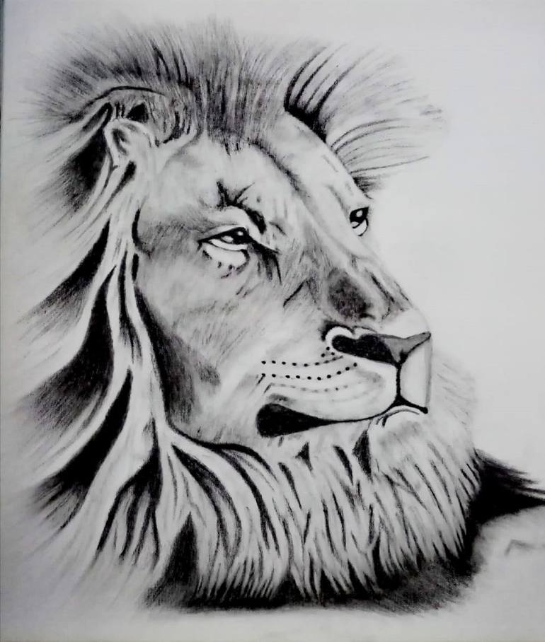 lion king drawing face