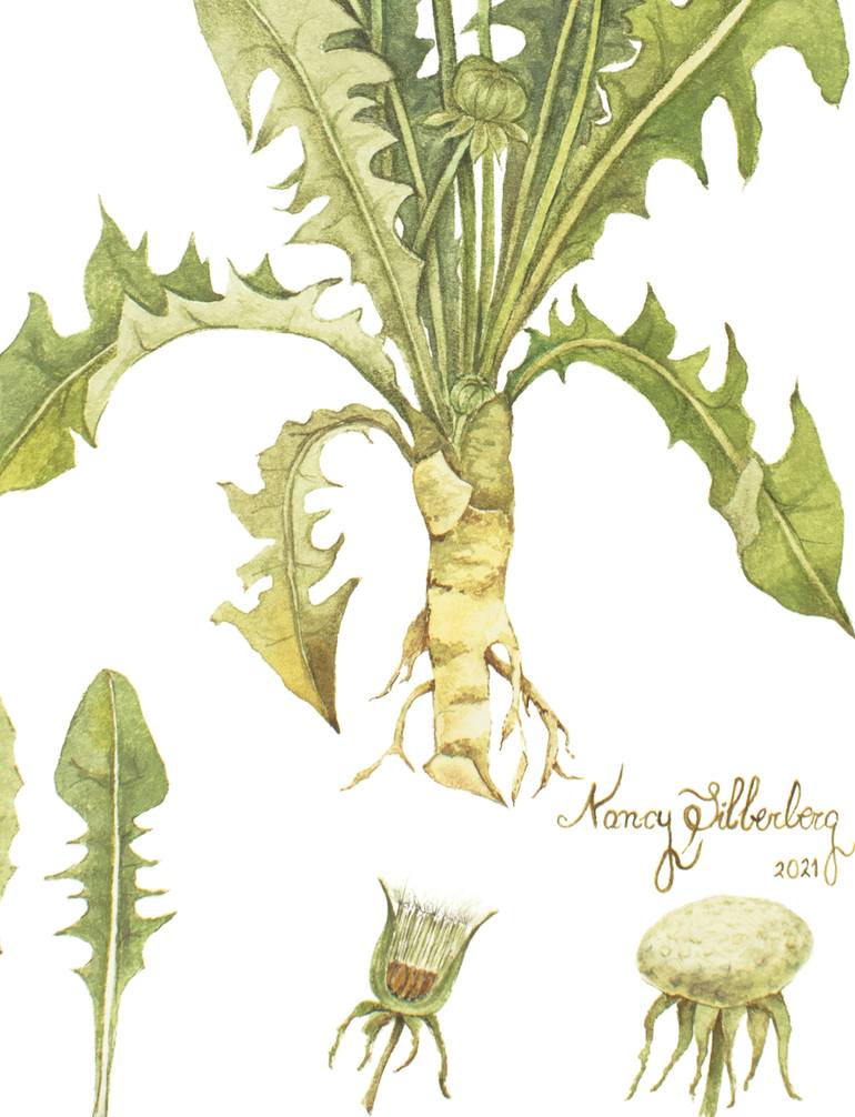 Original Figurative Botanic Painting by Nancy Silberberg