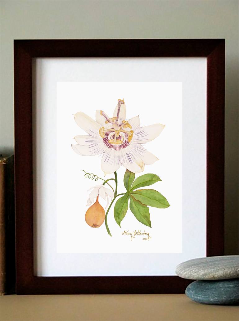 Original Figurative Botanic Painting by Nancy Silberberg