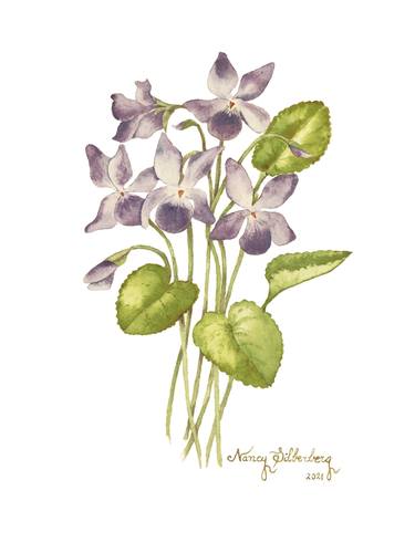 Print of Figurative Botanic Paintings by Nancy Silberberg