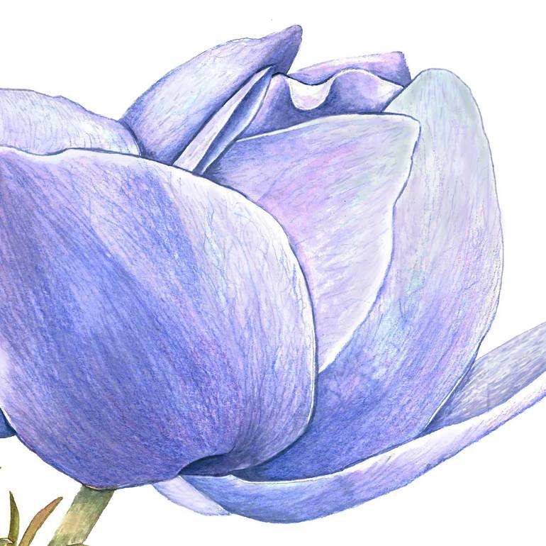 Original Figurative Botanic Painting by Nancy Silberberg