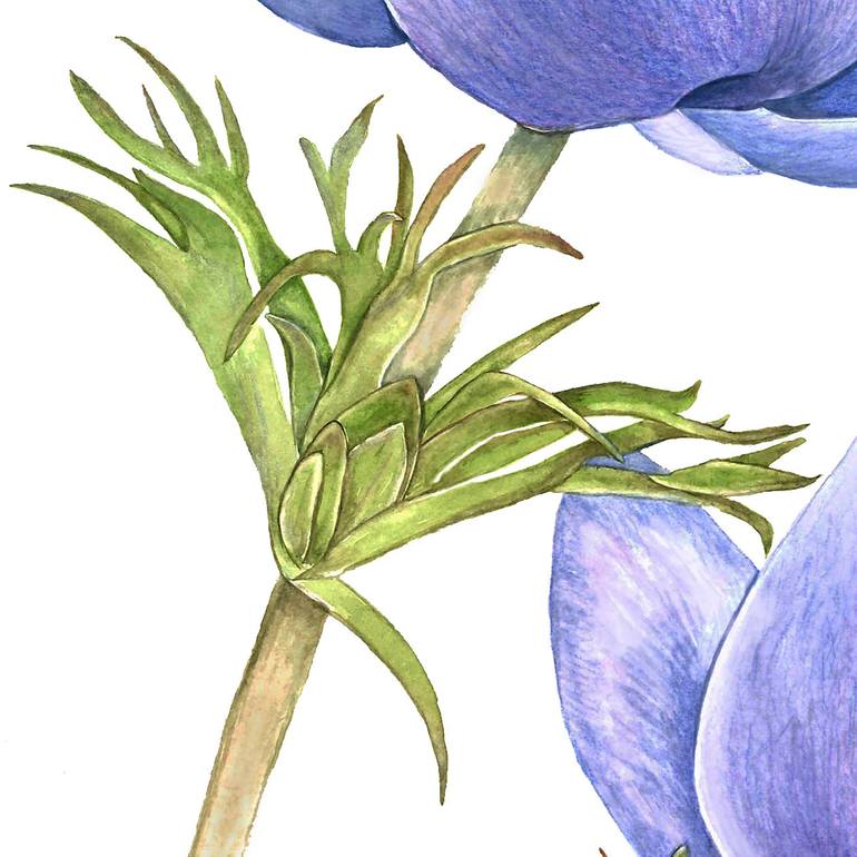 Original Figurative Botanic Painting by Nancy Silberberg