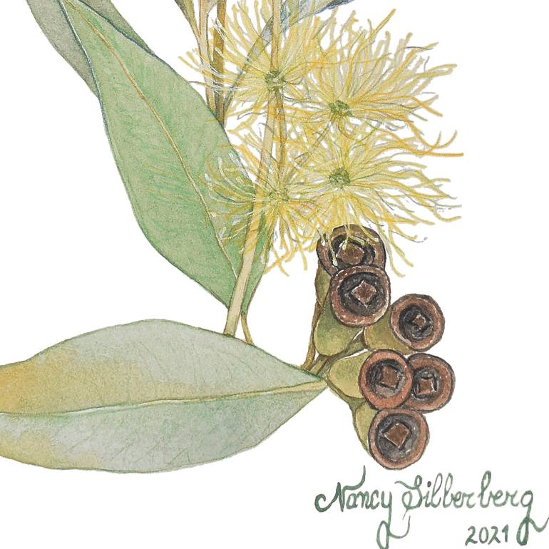Original Figurative Botanic Painting by Nancy Silberberg