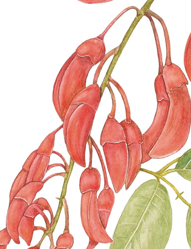 Original Figurative Botanic Painting by Nancy Silberberg