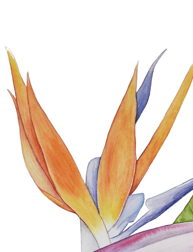 Original Figurative Botanic Painting by Nancy Silberberg