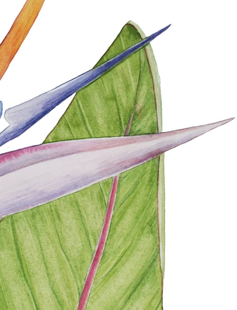 Original Figurative Botanic Painting by Nancy Silberberg