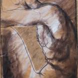 Collection Nude 
