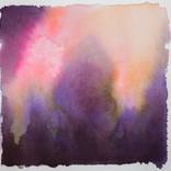 Collection Landscapes