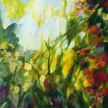 Collection Landscapes