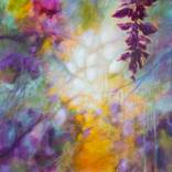 Collection Landscapes