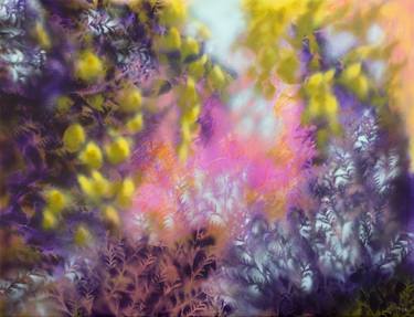 Original Abstract Floral Paintings by Fabienne Monestier
