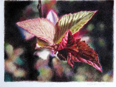Foliage #2- photorealistic drawing with coloured pencils thumb