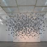One Thousand Means of Escape by Astrid Bin