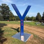 The Y Project - Y AIDS by Ralph G Brancaccio