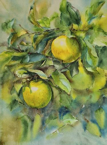 Branch with yellow apples on abstract watercolor background thumb