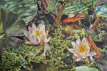 Pond with water lilies - original watercolor painting thumb