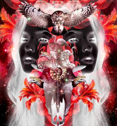 Print of Conceptual Fantasy Collage by Petra Brnardic