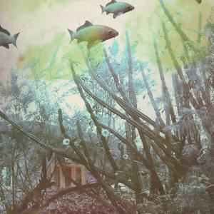 untitled 31 B