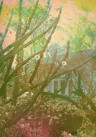 Original Digital Art Garden Digital by Rym Magdi