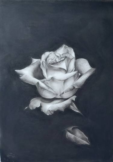 Print of Realism Love Drawings by Negar Tavakol