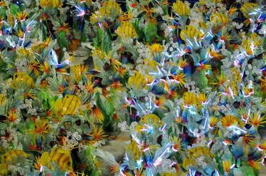 Sapucaí Carnival, Rio de Janeiro thumb