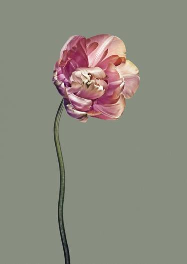 Original Fine Art Floral Photography by Egon Gade Artwork