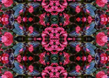 Original Expressionism Floral Photography by Sarah Ikerd