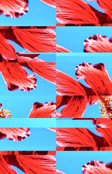 Original Abstract Expressionism Floral Photography by Sarah Ikerd