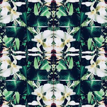 Print of Abstract Expressionism Floral Photography by Sarah Ikerd