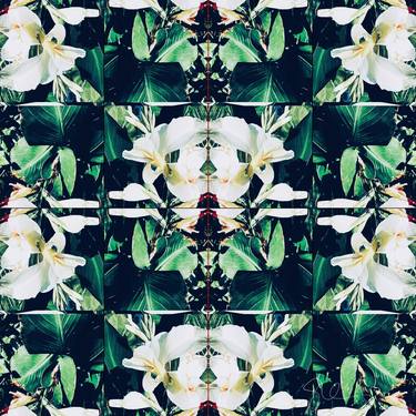 Original Abstract Expressionism Floral Photography by Sarah Ikerd