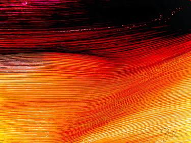 Original Abstract Expressionism Abstract Photography by Sarah Ikerd