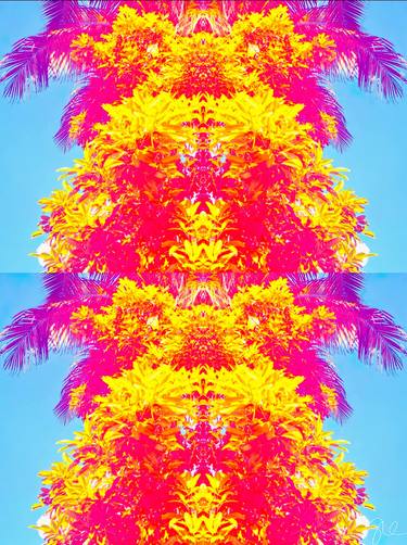 Original Pop Art Nature Photography by Sarah Ikerd