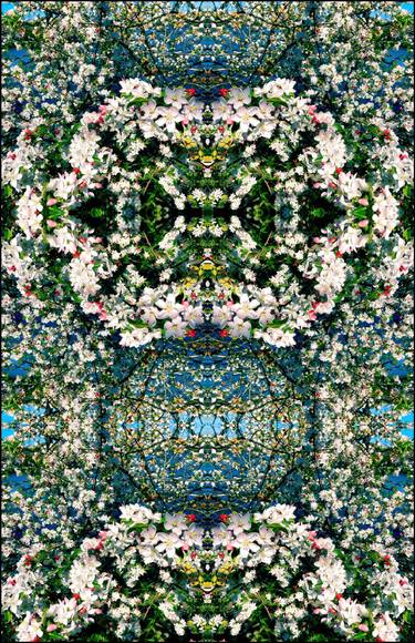 Original Baroque Nature Photography by Sarah Ikerd