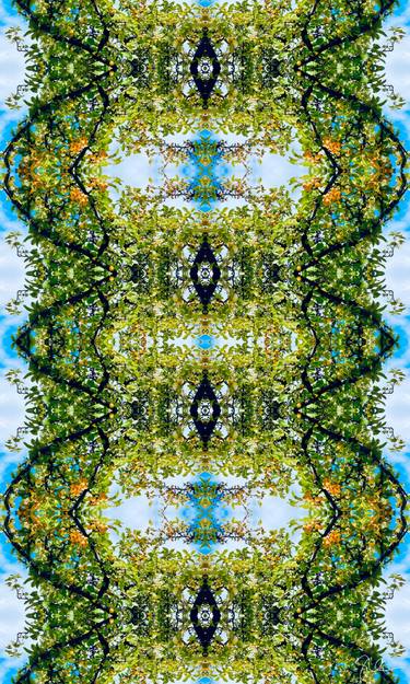 Original Baroque Nature Photography by Sarah Ikerd